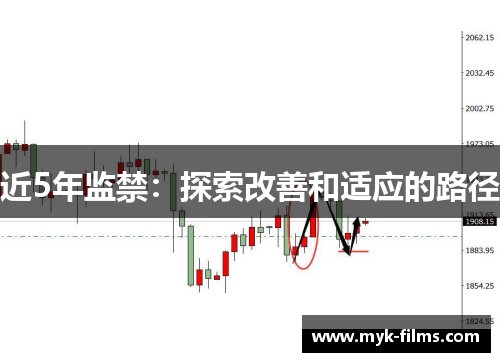 近5年监禁：探索改善和适应的路径